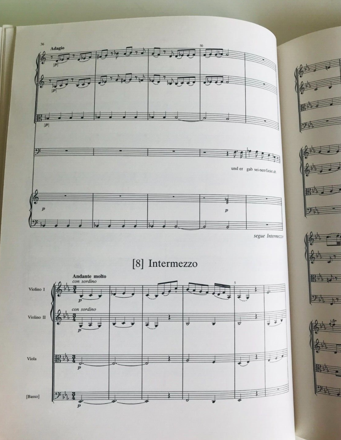 Picture 20 of 23