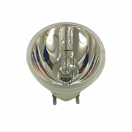 NEU ORIGINAL BL-FP230I PROJEKTORLAMPE GLÜHBIRNE FÜR OPTOMA HD33 HD3300 HD300X ORIGINAL - Bild 4 von 4