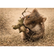 Postkarte Feldhamster Wildtier Natur Illustration Hamster Tier Motiv Grußkarte