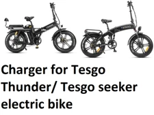 🔥battery charger for Tesgo Thunder / Tesgo Seeker electric bike 3A