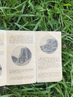 ANTIQUE 1906 COLORADO YELLOWSTONE TOUR BURLINGTON ROUTE RAILROAD BROCHURE & MAP — photo 10