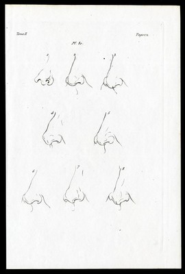 Antiker Druck - Physiognomie - Nasengesicht - Pl. 80-Lavater-1835