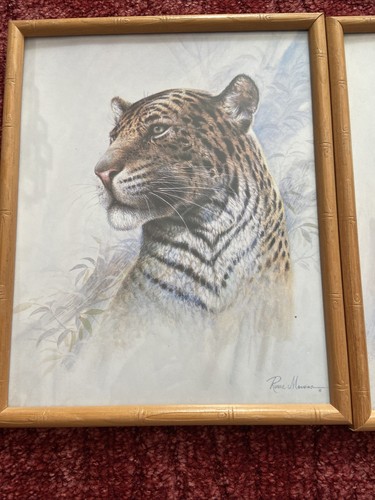 2 Vintage RUANE MANNING Lion Tiger Prints Bamboo Framed Mother Tiger Cub 10 x 8” - Picture 10 of 12