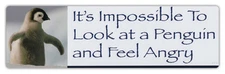 Bumper Stickers - Impossible To Look At Penguin and Feel Angry - Funny Stickers
