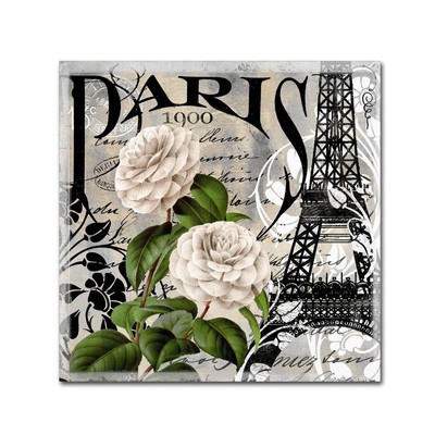 ALI4745-C2424GG Paris Blanc II, 24x24-Inch, 24 in x 24 in