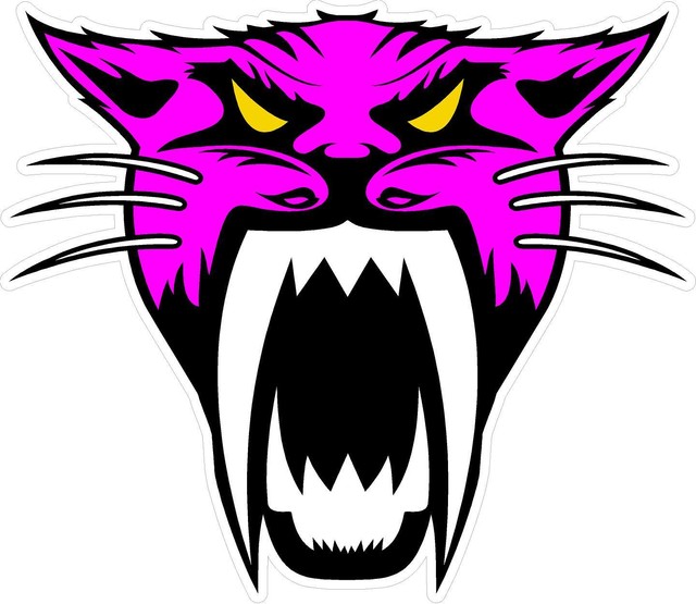 z2169 4" Arctic Cat Head Decal Sticker Team Racing Snowmobile