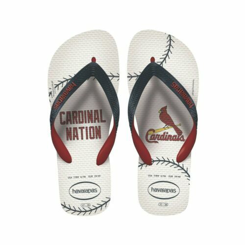 havaianas men's brazil flip flop sandals