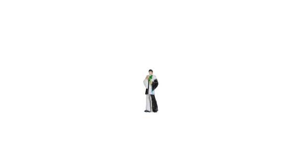 Noch 10414 HO Scale Harlequin - Color 3D Print