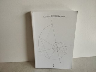 TIM INGOLD / MARCHER AVEC LES DRAGONS / Zones Sensibles 2013