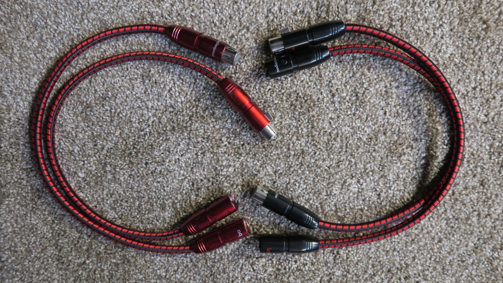 audioquest kingcobra 中古価格 | HifiZero