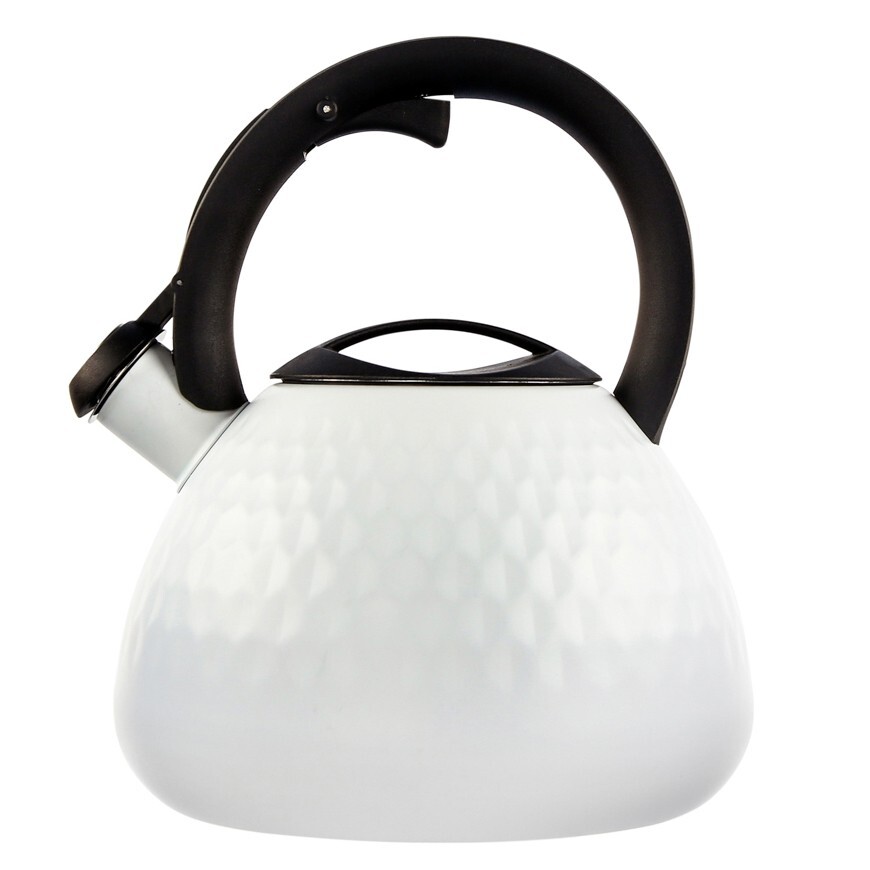 Whistling Kettle Logan Stainless Steel 2.7 L for Gas Electric Induction Hob