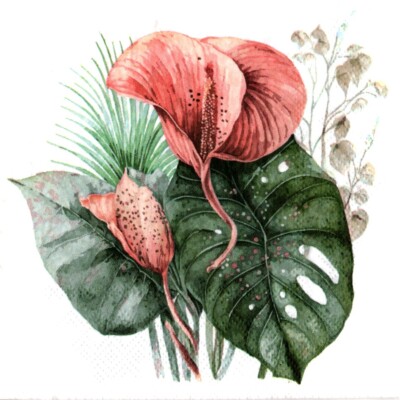 Sitemapcdatahttpsmodeinf Inetcompliage Serviette Fleur Exotique