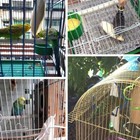 Foto 12 di 12