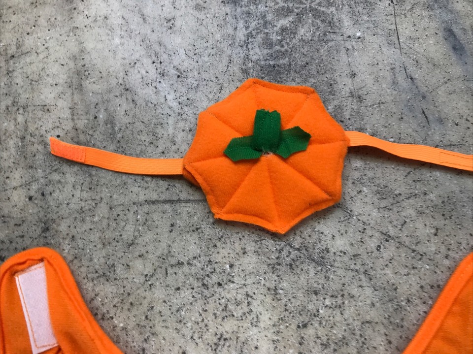 Pumpkin Jack O Lantern Halloween Dog Costume Small 12” Dog Costume