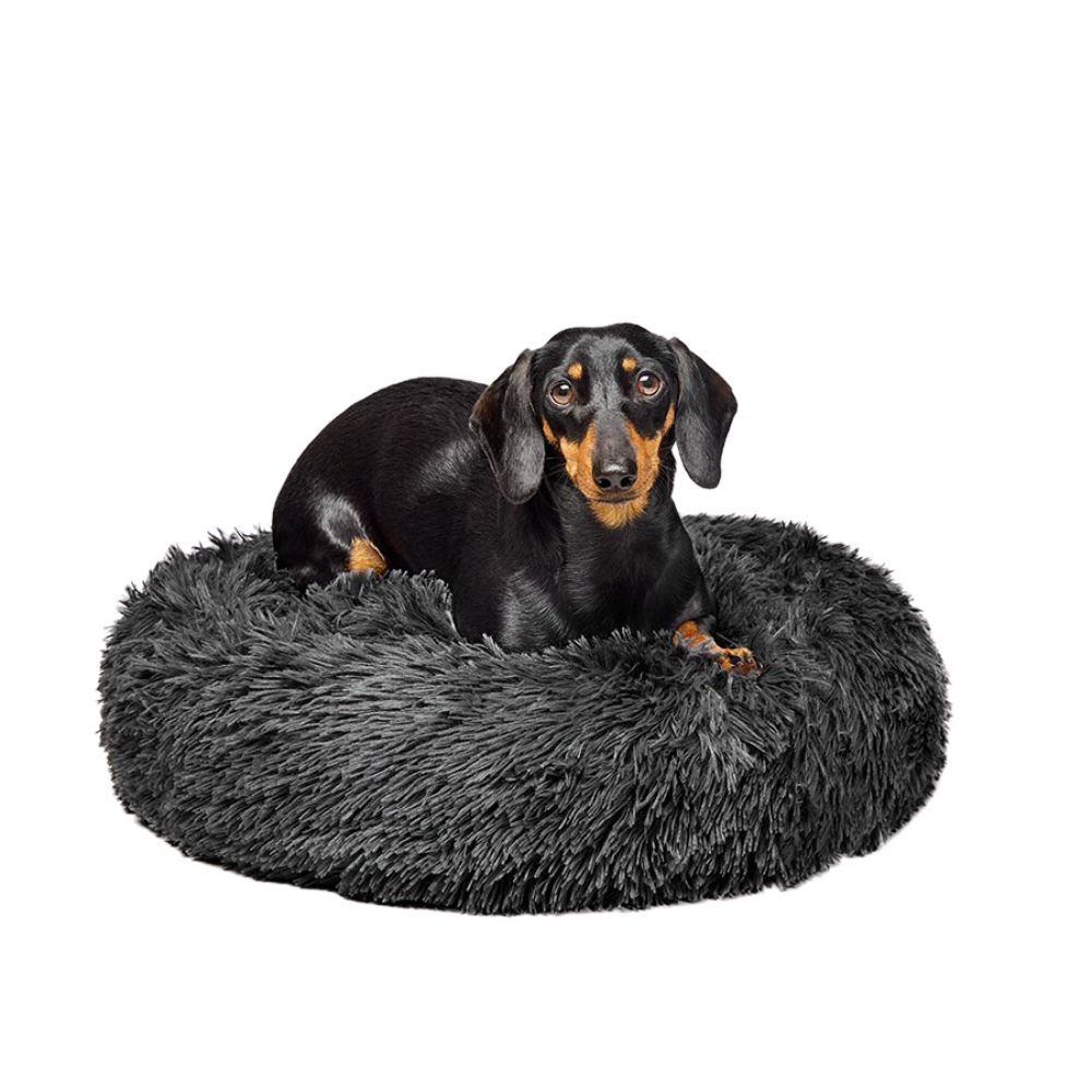 Fur King "Aussie" Calming Dog Bed Grey 60 CM Small eBay