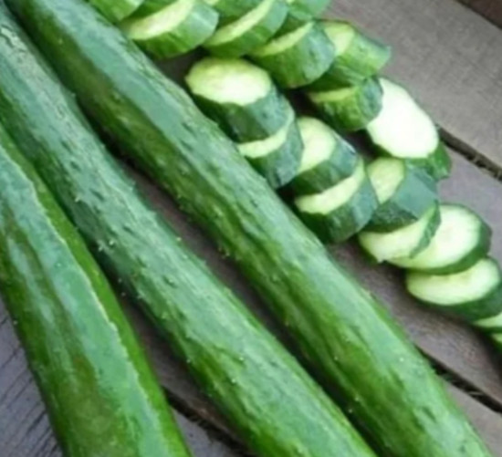 Japanische Gurke "Japanese Long" Cucumis sativus 12+ Samen süß-aromatisch lecker