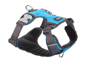 red dingo padded harness