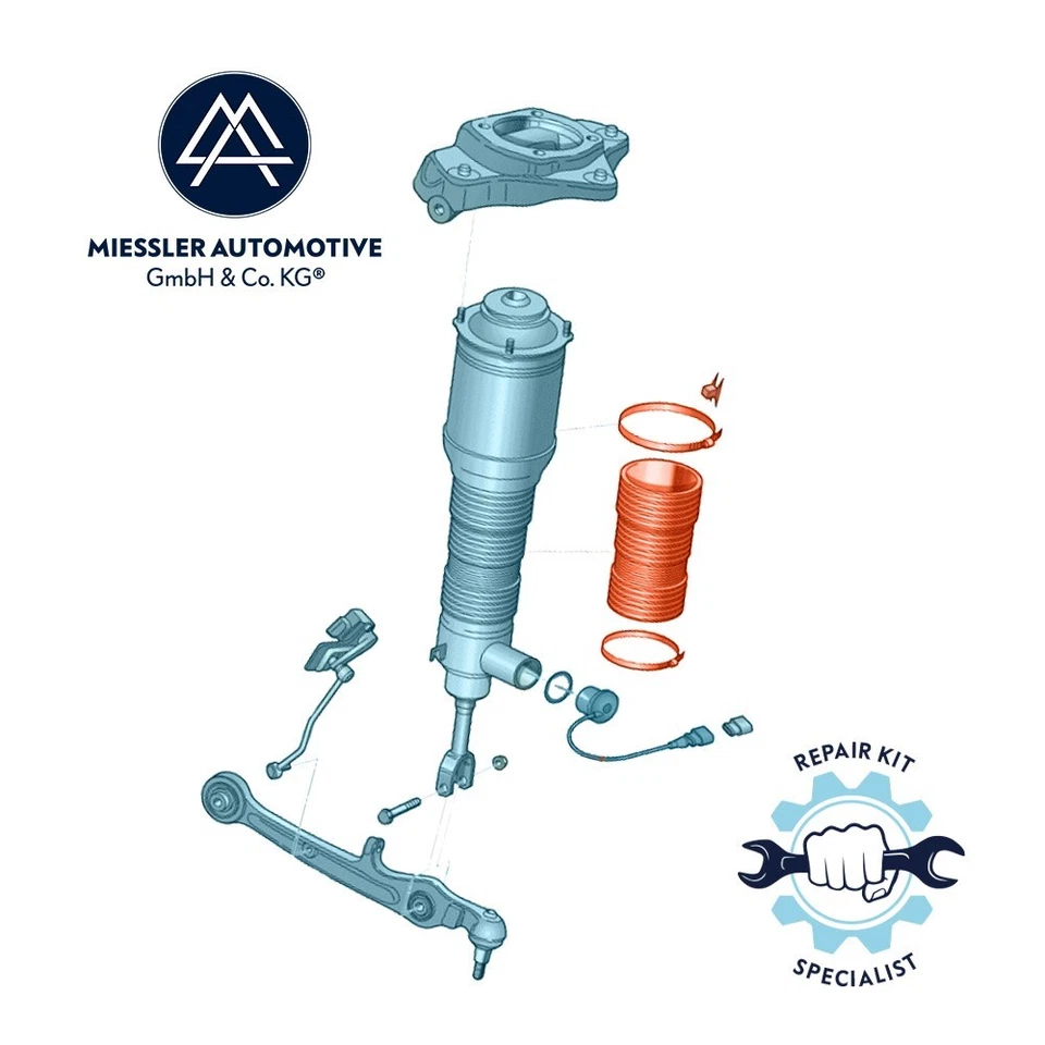 Audi A6 (4F_, C6) Schutzhülle mit Montageteilen Federbein