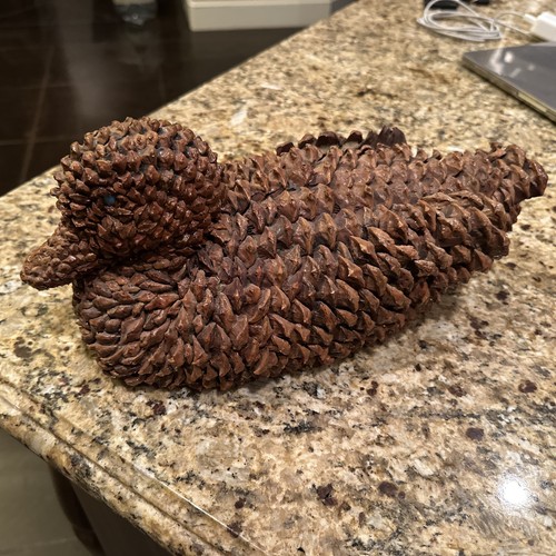 Pine Cone - Duck (Duck Made Out Of Pine Cone)