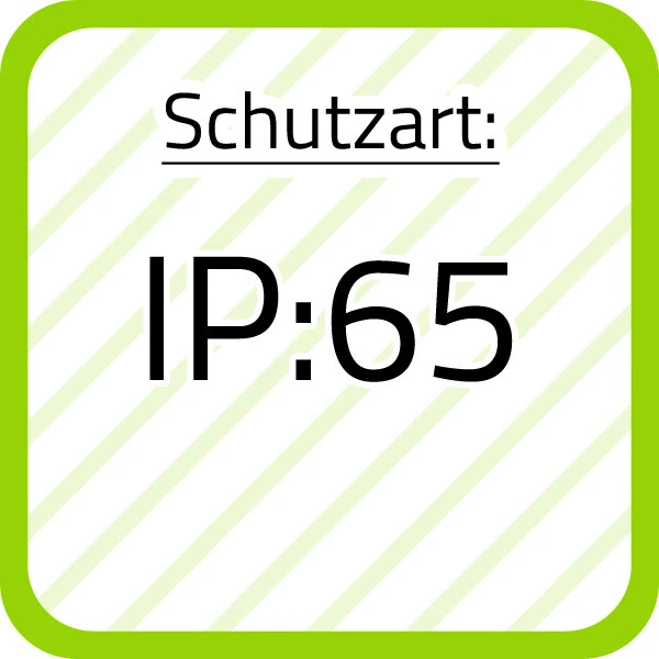 Bild 9 von 12