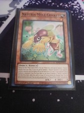 Yu-Gi-Oh X3 Naturia Mole Cricket MP23-EN170 Super Rare 