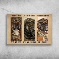 Boxer Pilot - It's Not A Phase, It's My Life, It's Not My Career, It's My Pas...