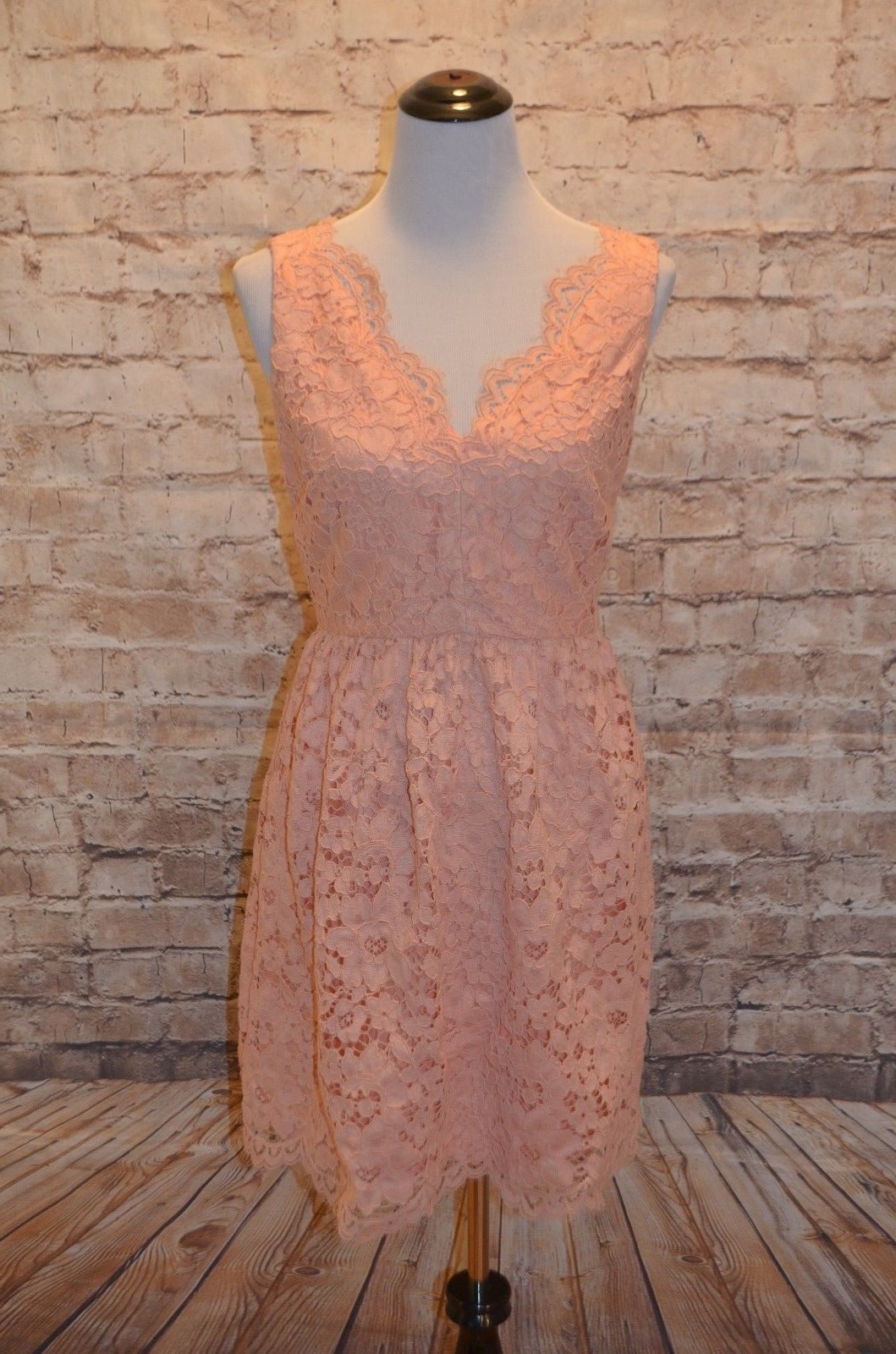 Modcloth Elegant of Surprise Dress NWT 8 Wendy Bird Blush $150 scallop neck hem image 5
