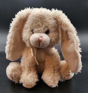 Russ Berrie Shining Stars 8” Floppy Ears Bunny Plush, Sealed Star Registry Code