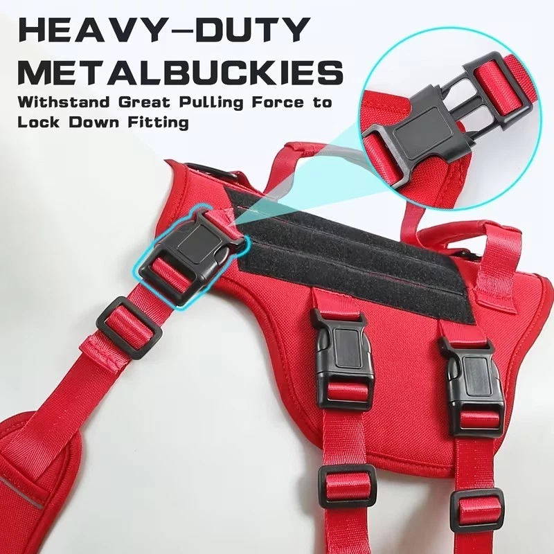 dog harness