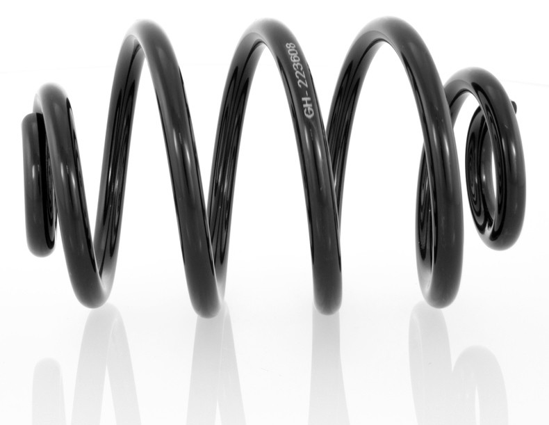 1x Coil Spring Rear Right=Left GH-223605