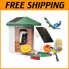 Smart Bird Feeder with AI Identify Birds - Green