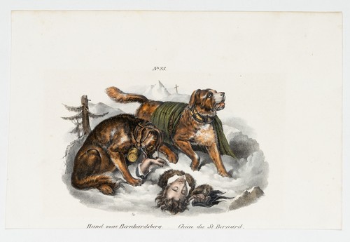 Bernhardiner-Rettungsmission, Lith. Biedermeier Tiere Unbekannt (19.Jhd) - Bild 2 von 5
