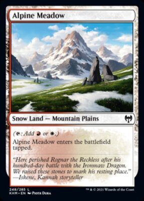 #ad Alpine Meadow Kaldheim Magic MTG $1.82