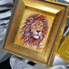 Bild 8 von 12