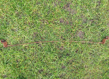 Westwood PGC Sweeper Cable Roller Scraper For Ride On Lawn Mower Tractor 3190