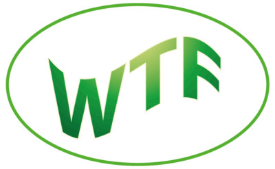 WTF Green Car Bumper Sticker Decal