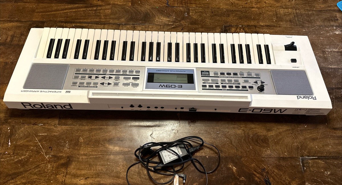 Roland E-09W Interactive Arranger Keyboard | eBay Roland E-09W Interactive Arranger Keyboard | eBay