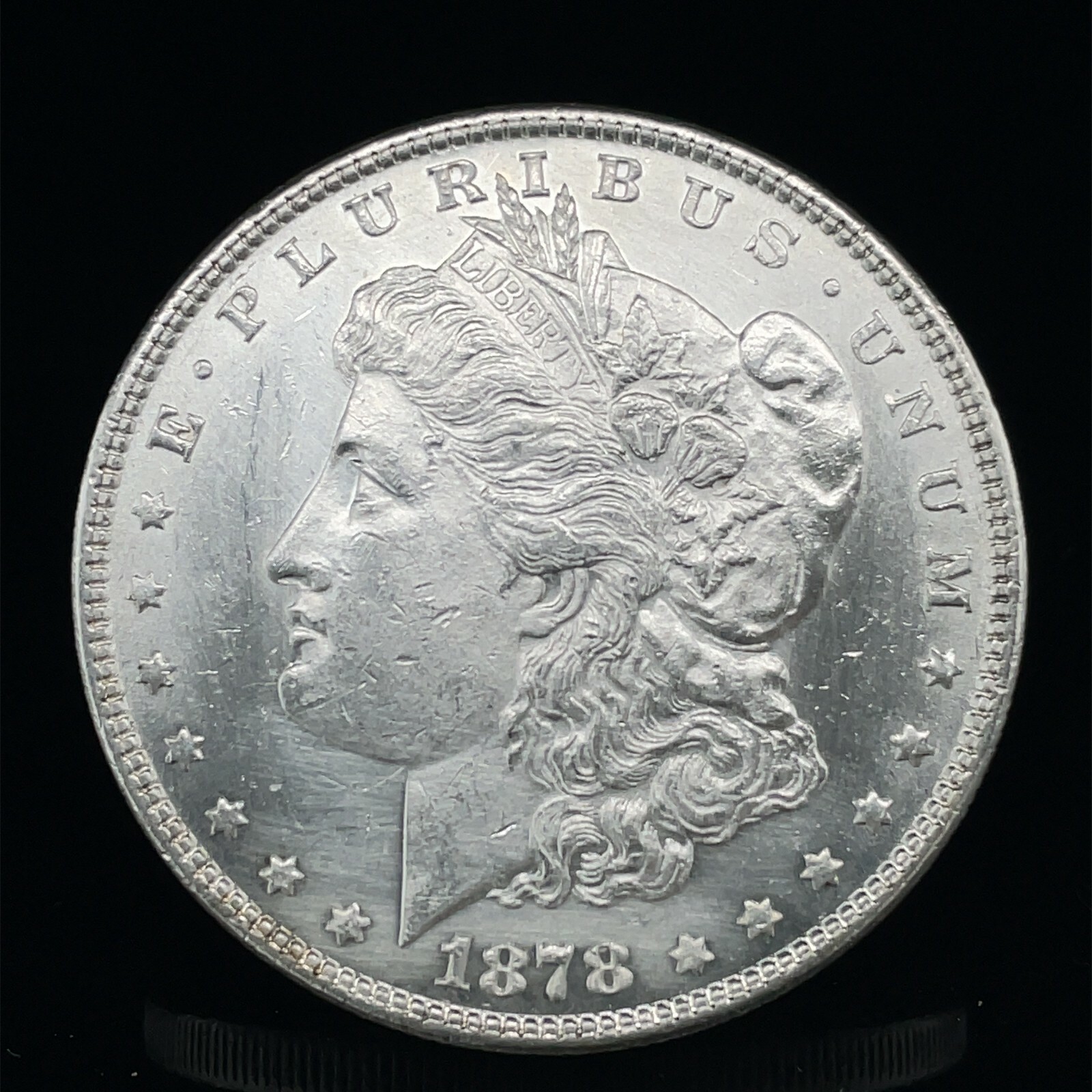 Picture 6 of 7