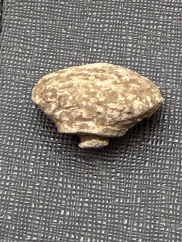 Civil War Williams Cleaner Bullet type 1 Shot Hard Impact - Richmond, Va