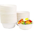 Einweg Suppenschalen 120 Stück für Picknicks und Grillpartys