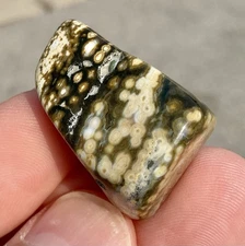 19g Polished Ocean Jasper Freeform Cabochon Orbicular Jasper 8th Vein High Grade