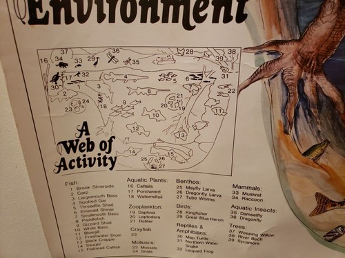 Vintage Tennessee Valley Authority Poster Water Resources The River Environment - Picture 10 of 13