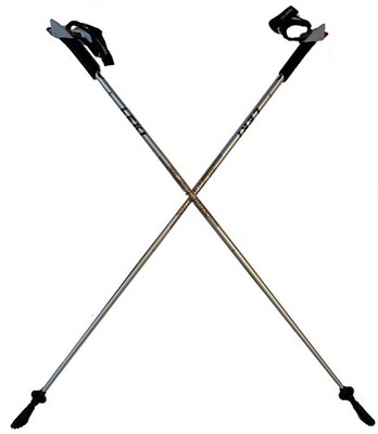 LEKI Nordic Walking Platinium Carbon Series 115cm Silver