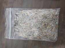 TE CONNECTIVITY TYPE III CONTACT LP BAG OF 1700 BY WEIGHT
