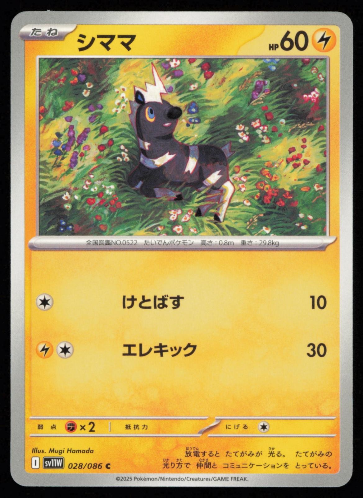 Blitzle 028/086 Common Pokemon SV11W: White Flare SV11W NM