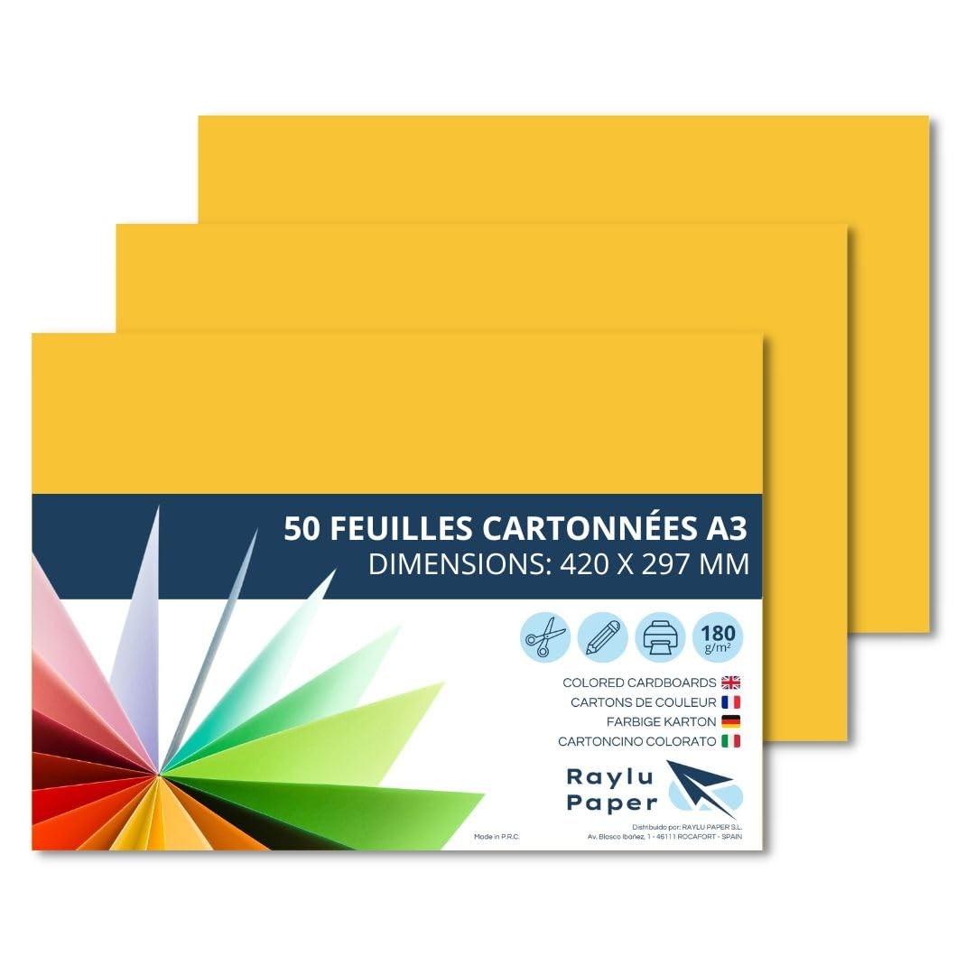 Papier cartonné A3 coloré pour scrapbooking et activités en famille