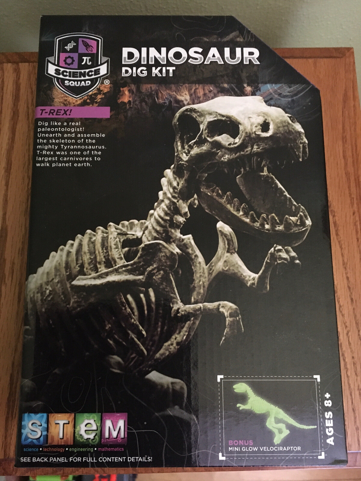 dinosaur dig kit science squad