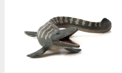 Mojo 387046N Tylosaurus 15 cm Prähistorische World Neue Ausführung