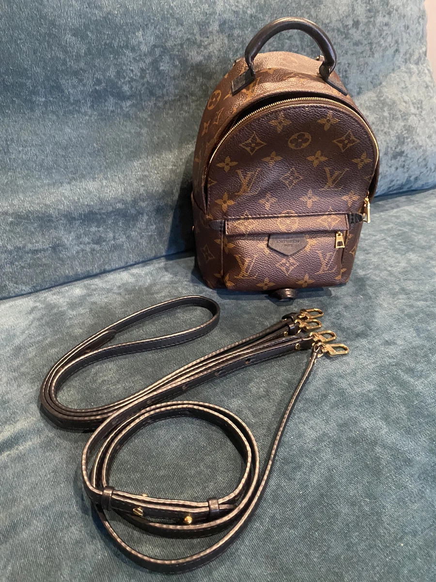 Louis Vuitton Palm Springs Monogram