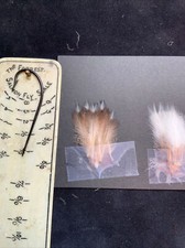 Penguin feathers
